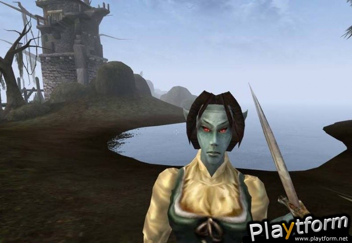 The Elder Scrolls III: Morrowind (PC)