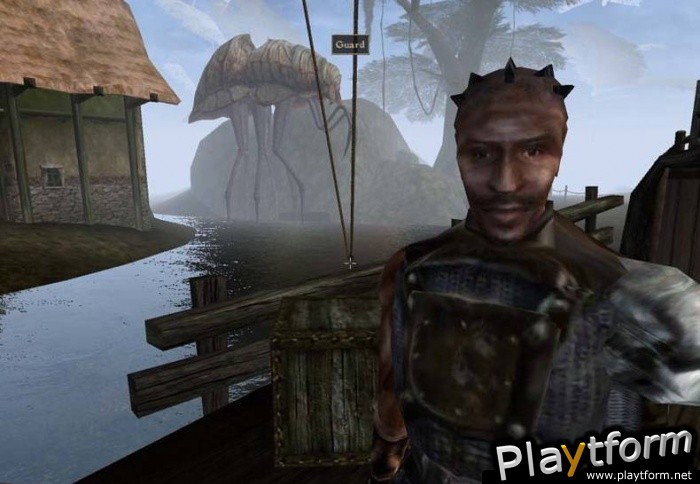 The Elder Scrolls III: Morrowind (PC)
