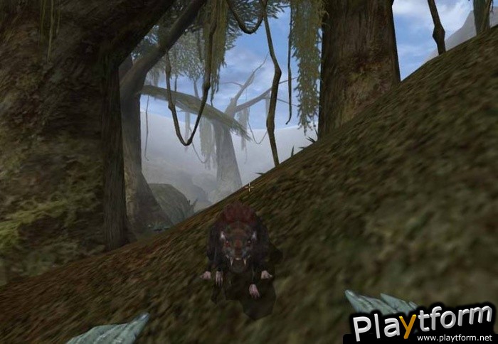 The Elder Scrolls III: Morrowind (PC)