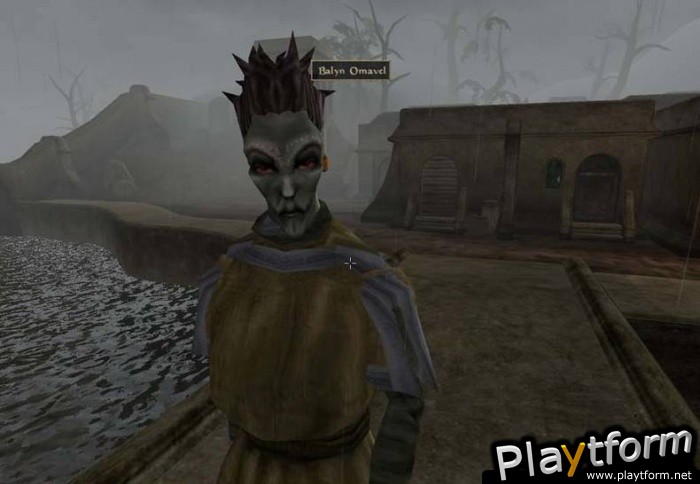 The Elder Scrolls III: Morrowind (PC)