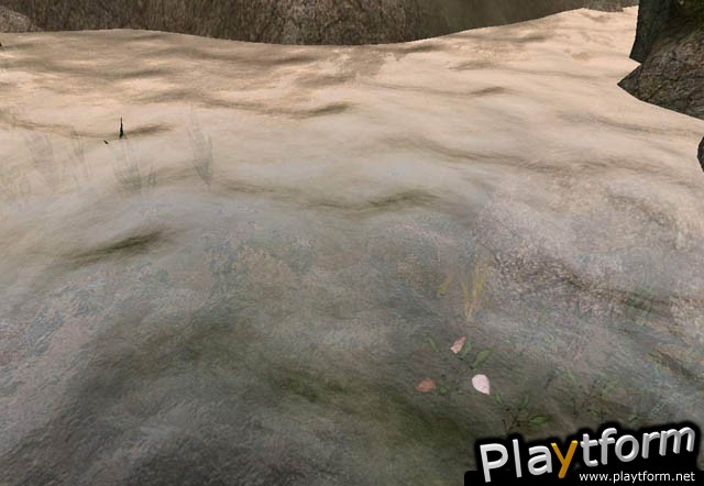 The Elder Scrolls III: Morrowind (PC)
