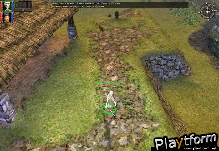 Dungeon Siege (PC)