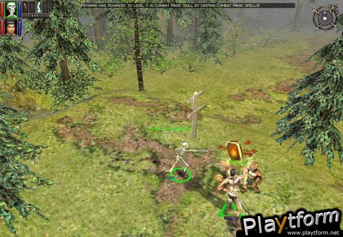 Dungeon Siege (PC)