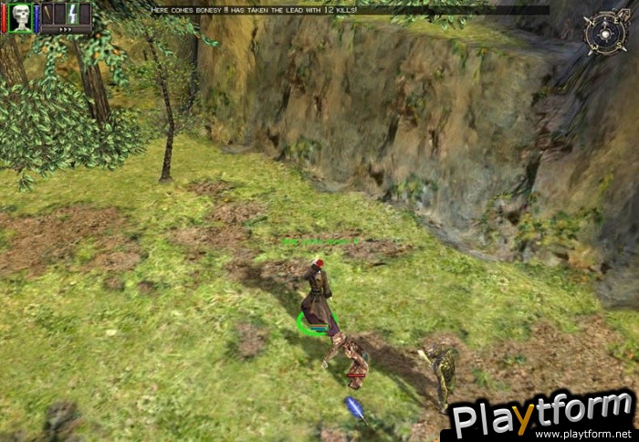 Dungeon Siege (PC)