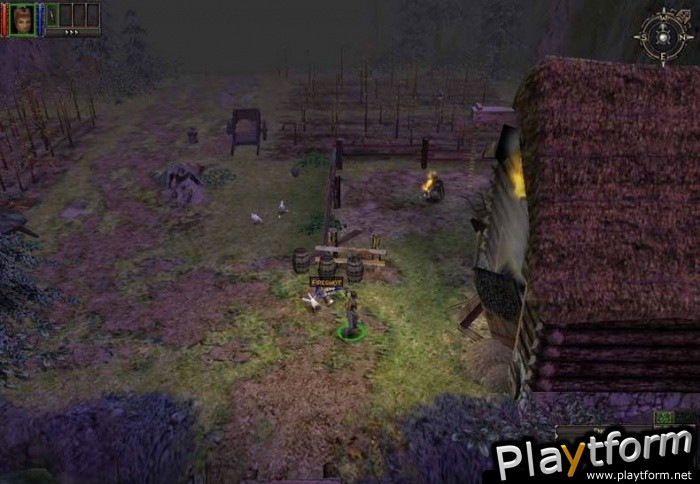 Dungeon Siege (PC)