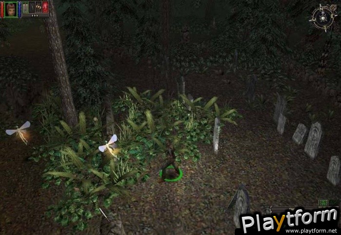Dungeon Siege (PC)