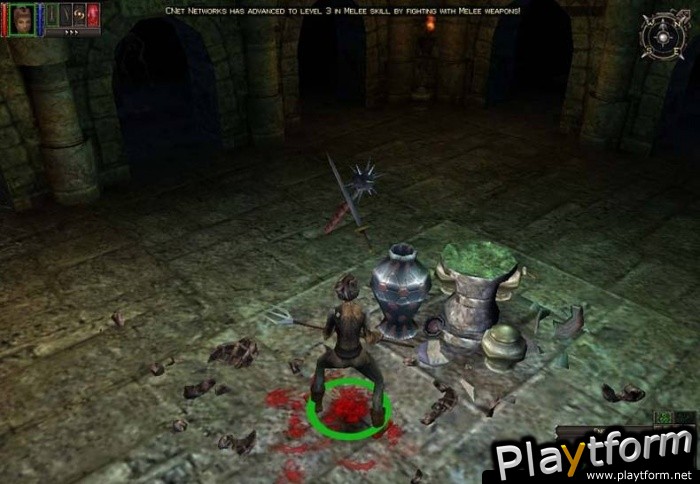 Dungeon Siege (PC)