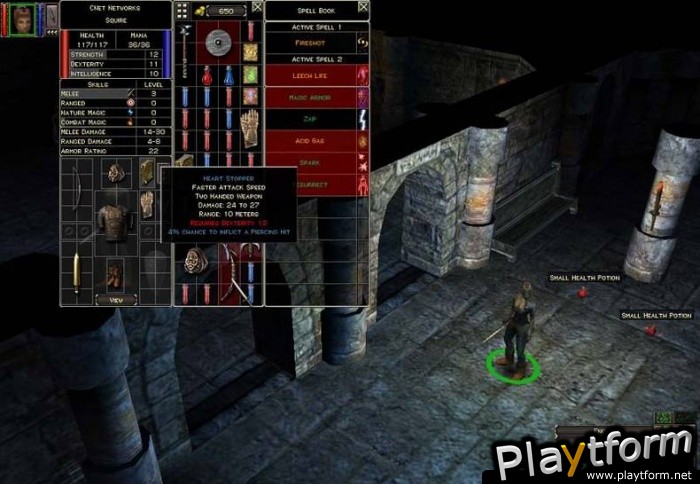 Dungeon Siege (PC)