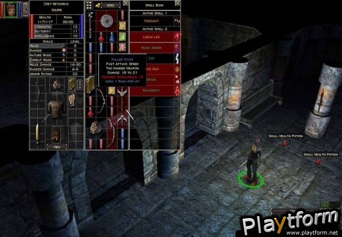 Dungeon Siege (PC)