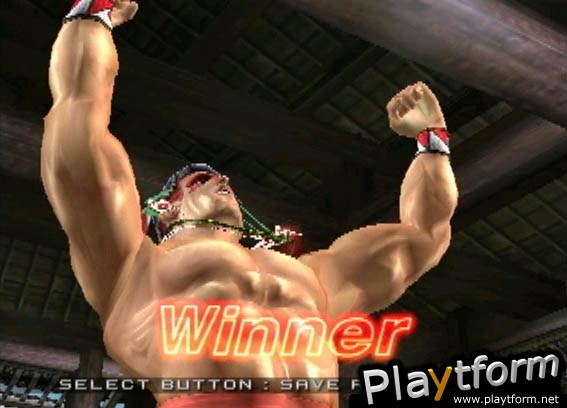 Virtua Fighter 4 (PlayStation 2)