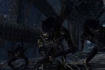 Aliens Versus Predator 2: Primal Hunt Expansion Pack (PC)