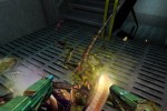Aliens Versus Predator 2: Primal Hunt Expansion Pack (PC)