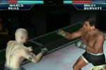 Ultimate Fighting Championship: Throwdown (GameCube)