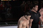 Ultimate Fighting Championship: Throwdown (GameCube)