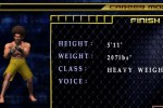 Ultimate Fighting Championship: Throwdown (GameCube)