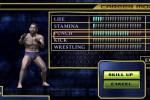 Ultimate Fighting Championship: Throwdown (GameCube)