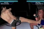 Ultimate Fighting Championship: Throwdown (GameCube)