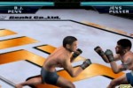 Ultimate Fighting Championship: Throwdown (GameCube)