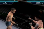 Ultimate Fighting Championship: Throwdown (GameCube)