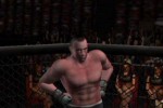 Ultimate Fighting Championship: Throwdown (GameCube)