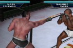 Ultimate Fighting Championship: Throwdown (GameCube)