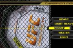 Ultimate Fighting Championship: Throwdown (GameCube)