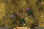 Age of Wonders II: The Wizard's Throne (PC)