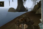 The Elder Scrolls III: Morrowind (Xbox)