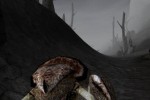 The Elder Scrolls III: Morrowind (PC)