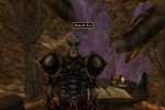 The Elder Scrolls III: Morrowind (PC)