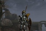 The Elder Scrolls III: Morrowind (PC)