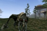 The Elder Scrolls III: Morrowind (PC)