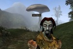 The Elder Scrolls III: Morrowind (PC)