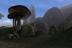 The Elder Scrolls III: Morrowind (PC)