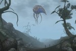 The Elder Scrolls III: Morrowind (PC)