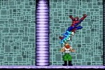 Spider-Man: The Movie (Game Boy Advance)