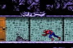 Spider-Man: The Movie (Game Boy Advance)