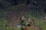 Dungeon Siege (PC)