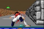 Wolfenstein 3D (Game Boy Advance)