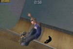 Tony Hawk's Pro Skater 3 (PC)