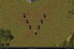 Dragon Throne: Battle of Red Cliffs (PC)