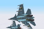 Flanker 2.5 (PC)