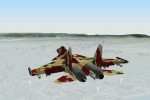 Flanker 2.5 (PC)