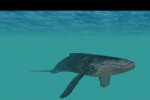 Ecco the Dolphin: Defender of the Future (PlayStation 2)