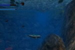 Ecco the Dolphin: Defender of the Future (PlayStation 2)