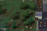 Ultima Online: Lord Blackthorn's Revenge (PC)