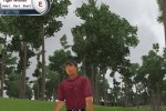 Tiger Woods PGA Tour 2002 (PC)