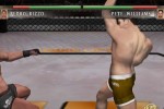 Ultimate Fighting Championship: Tapout (Xbox)