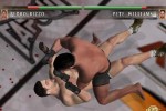 Ultimate Fighting Championship: Tapout (Xbox)