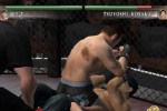 Ultimate Fighting Championship: Tapout (Xbox)